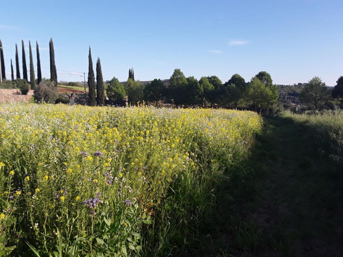 Agriturismo Fattoria Di Malavolta Florença Exterior foto