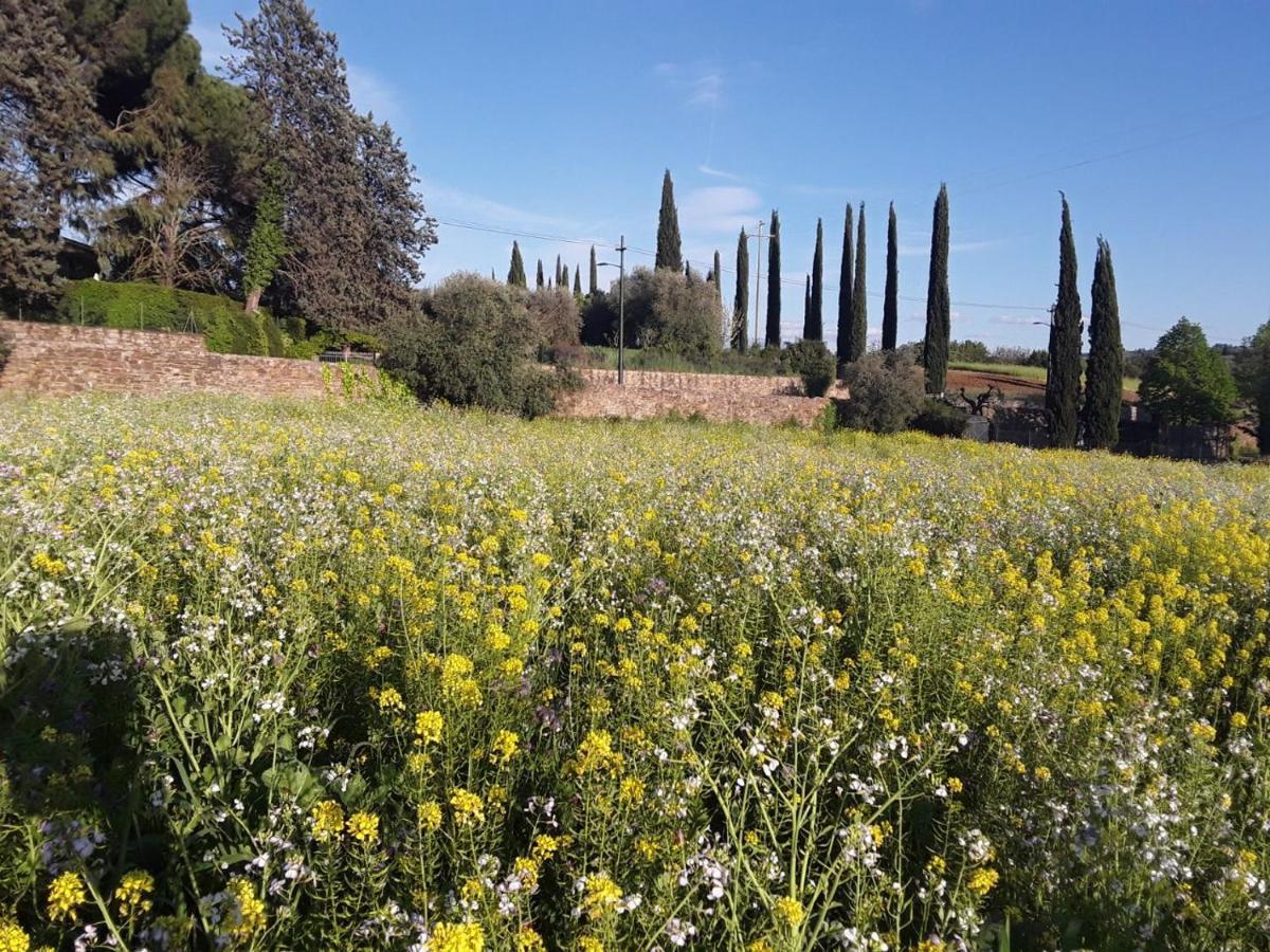 Agriturismo Fattoria Di Malavolta Florença Exterior foto